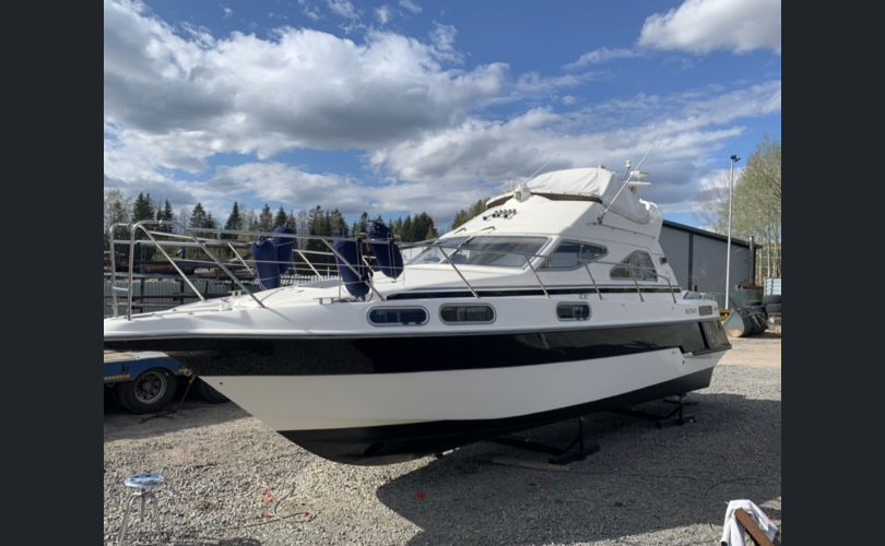 Sealine 310 Statesman-kuva-7